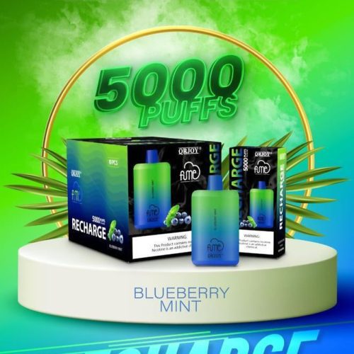 fume-recharge-disposabe-vape-blueberry-mint-1-pack-smoking-vibes